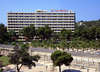 Sol Mirlos Tordos 